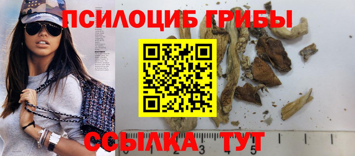 Сергиев Посад  Галлюциногенные грибы Psilocybine cubensis  Вход с VPN 